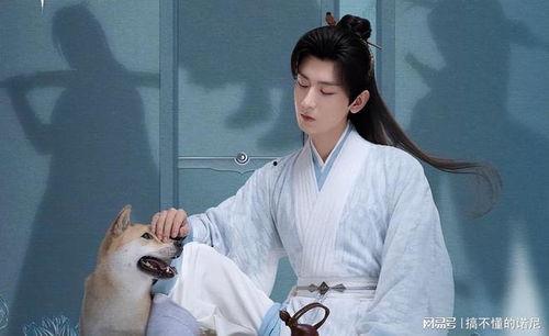 成毅内部爆料最新消息是真的吗,最新消息真实性揭秘